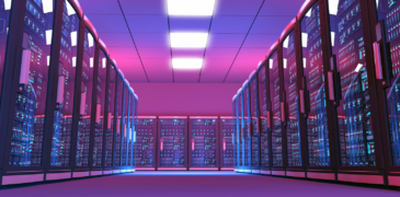 Talk nerdy to me: Choosing the right hosting environment for your website